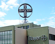Bayer Portuguesa